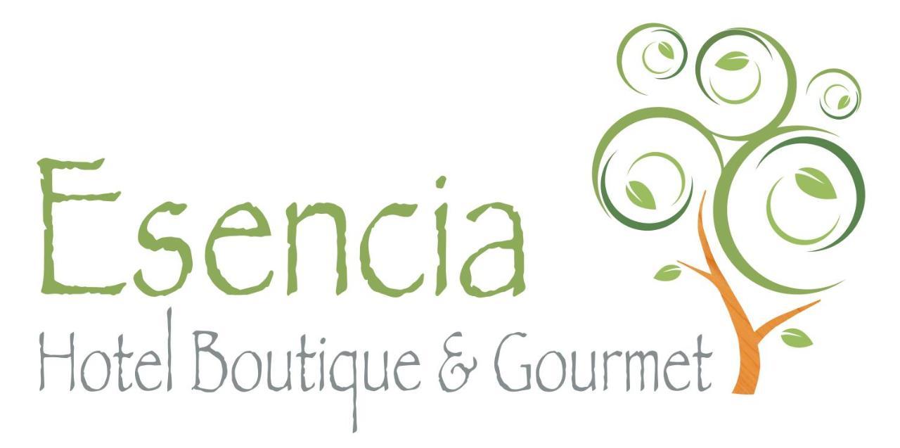 Esencia Hotel Boutique Vina del Mar Exterior photo